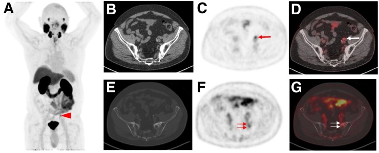 FIGURE 1.