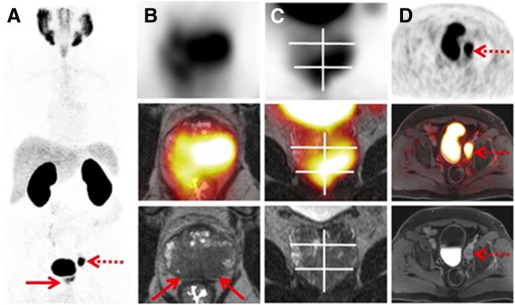 FIGURE 3.