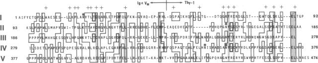 graphic file with name pnas00312-0091-a.jpg