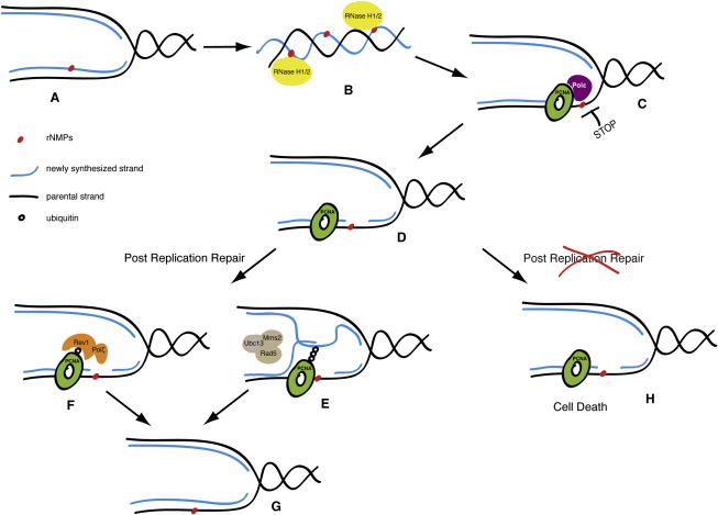 Figure 6