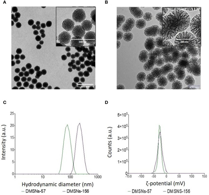 Figure 1