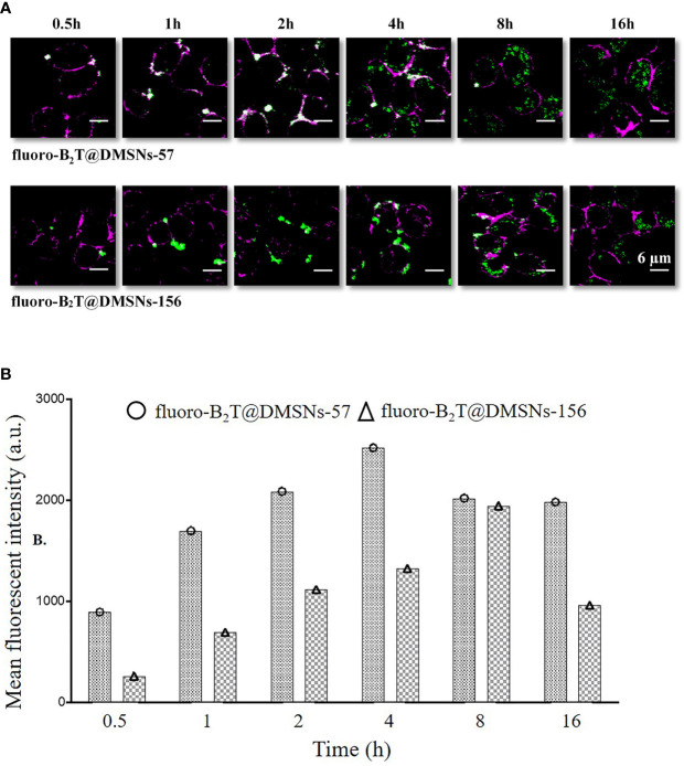 Figure 3