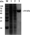 FIG 6