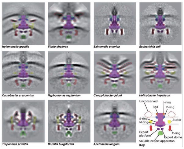 Figure 5