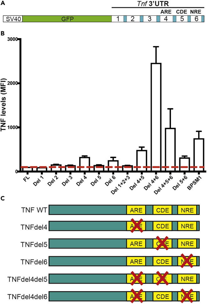 Figure 1