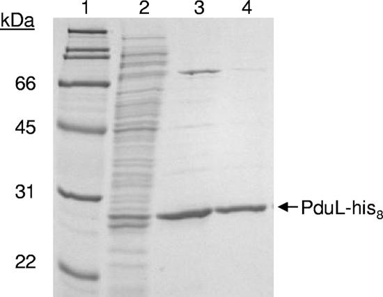 FIG. 5.