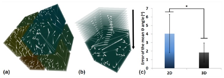 Fig. 10