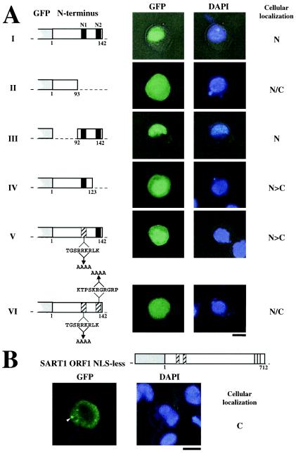 FIG.4.