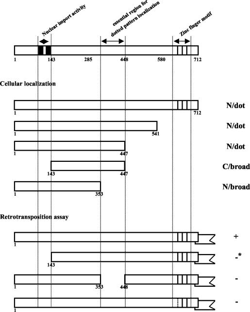 FIG. 8.