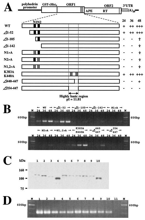 FIG. 7.