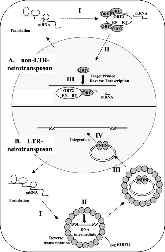 FIG. 9.