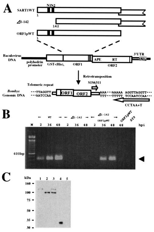 FIG. 5.