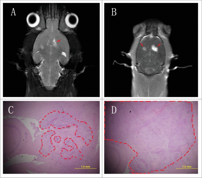 Figure 6.