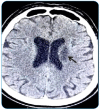 FIGURE 4: