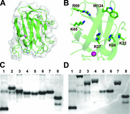 FIG. 4.