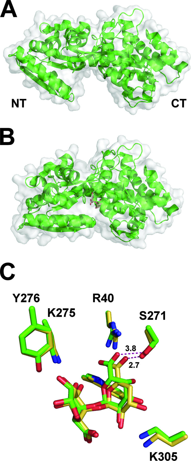 FIG. 7.