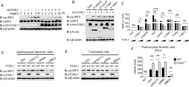 FIG 4 