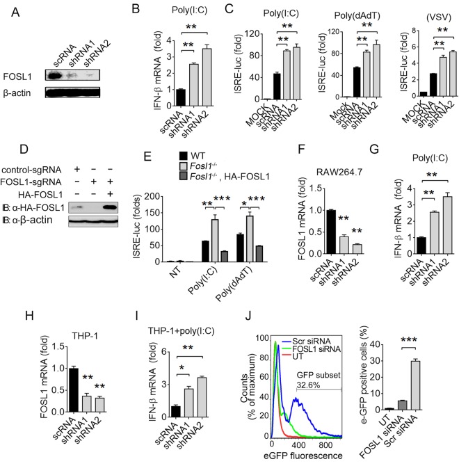 FIG 3 