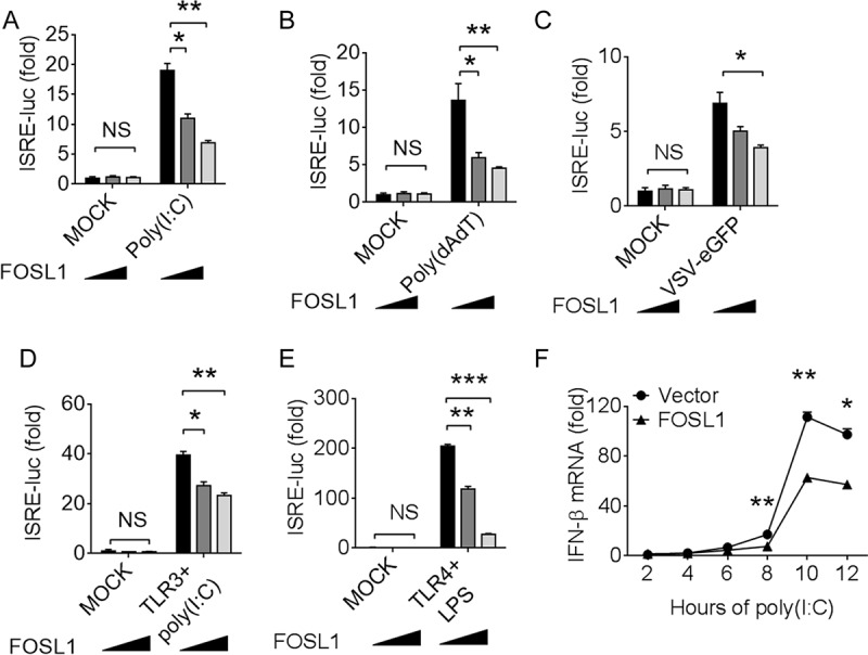 FIG 2 