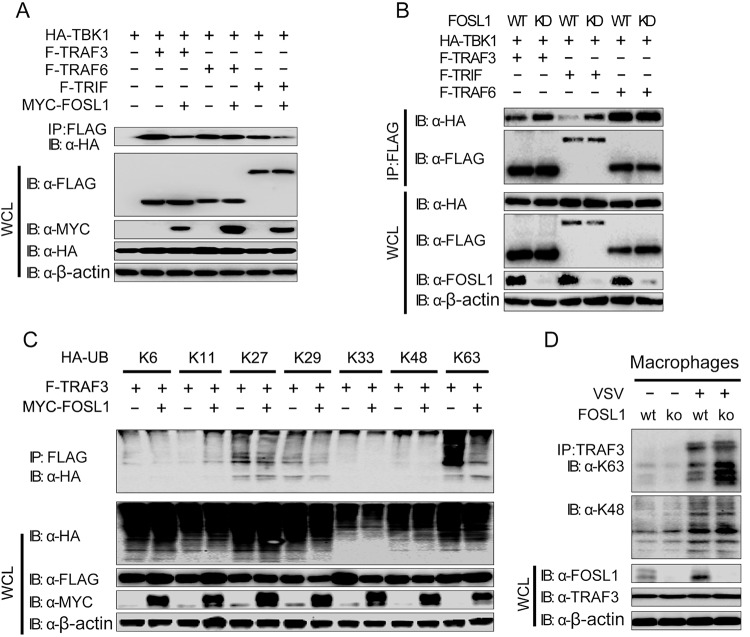 FIG 6 