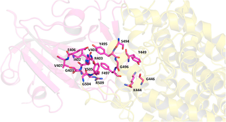 Fig. 11