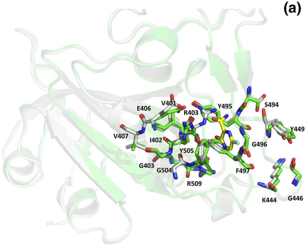 Fig. 12a