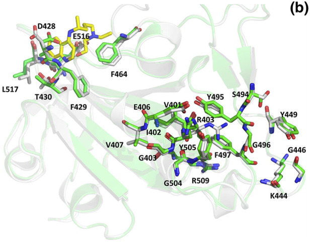 Fig. 12b