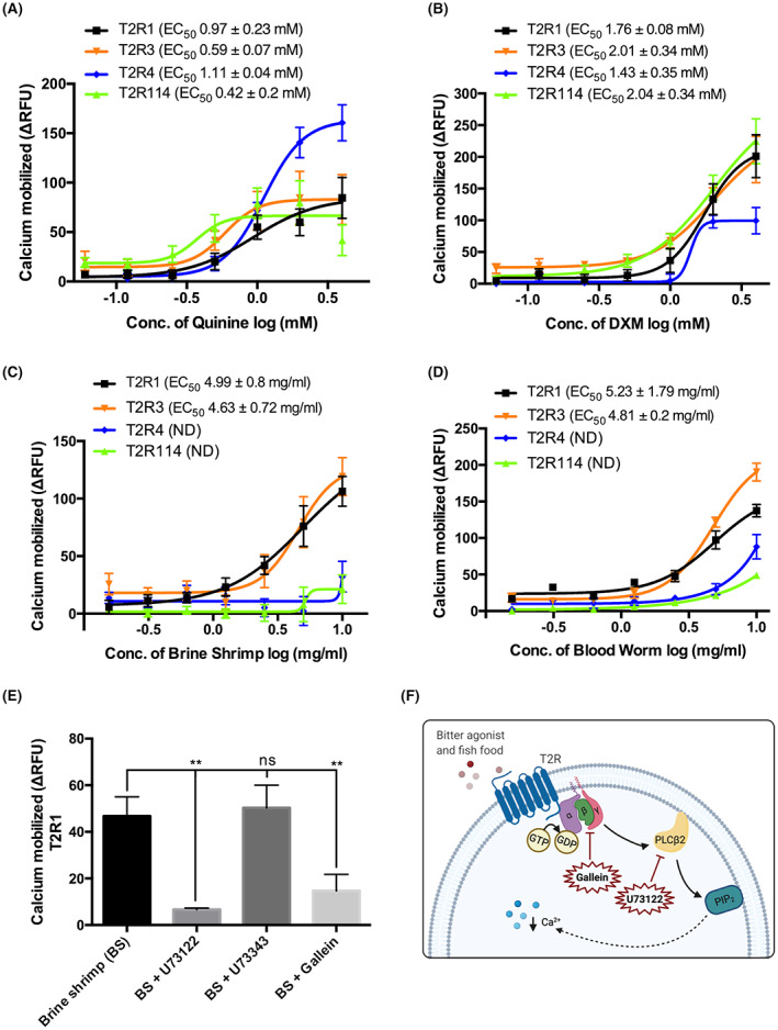 FIGURE 3