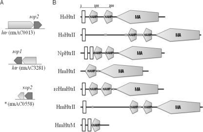 FIG. 1.