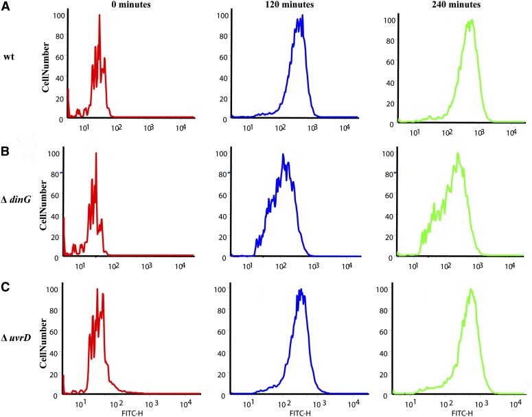 Figure 5