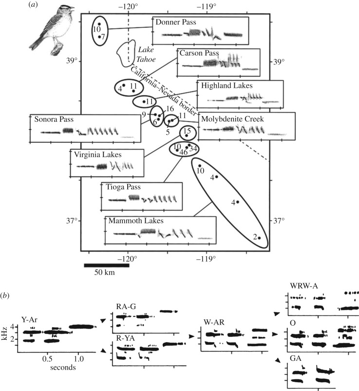 Figure 5.