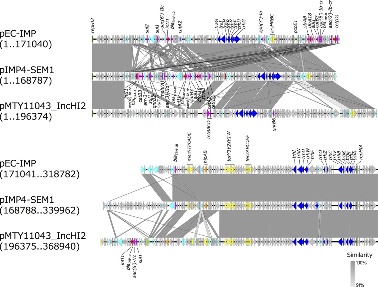 FIG 2