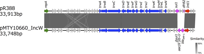 FIG 3