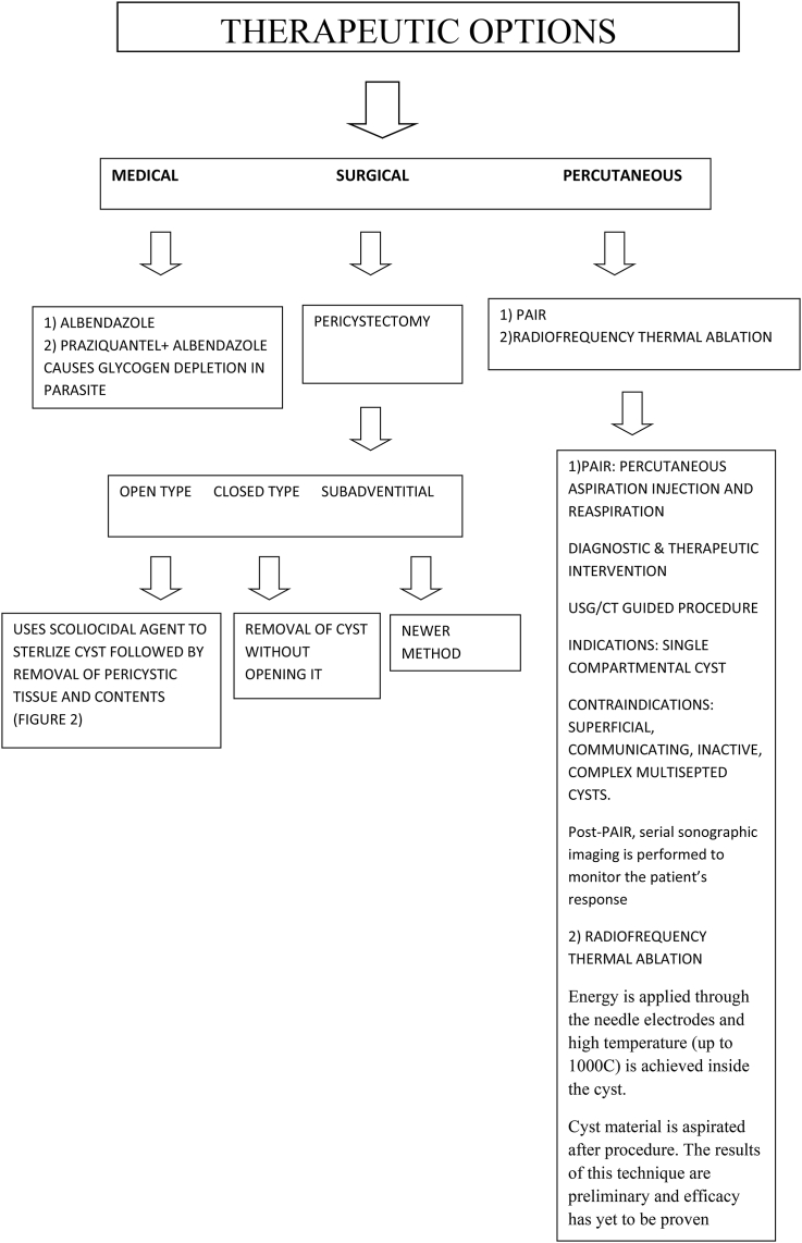 Flowchart 2