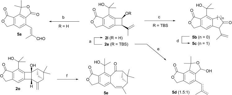 Scheme 4