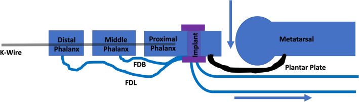 Fig. 2