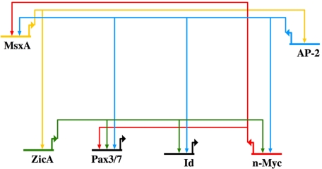 Fig. 5.