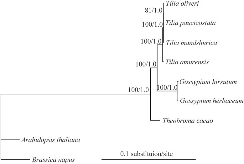 Fig 6