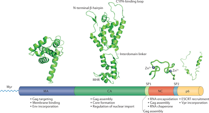 Figure 2 |