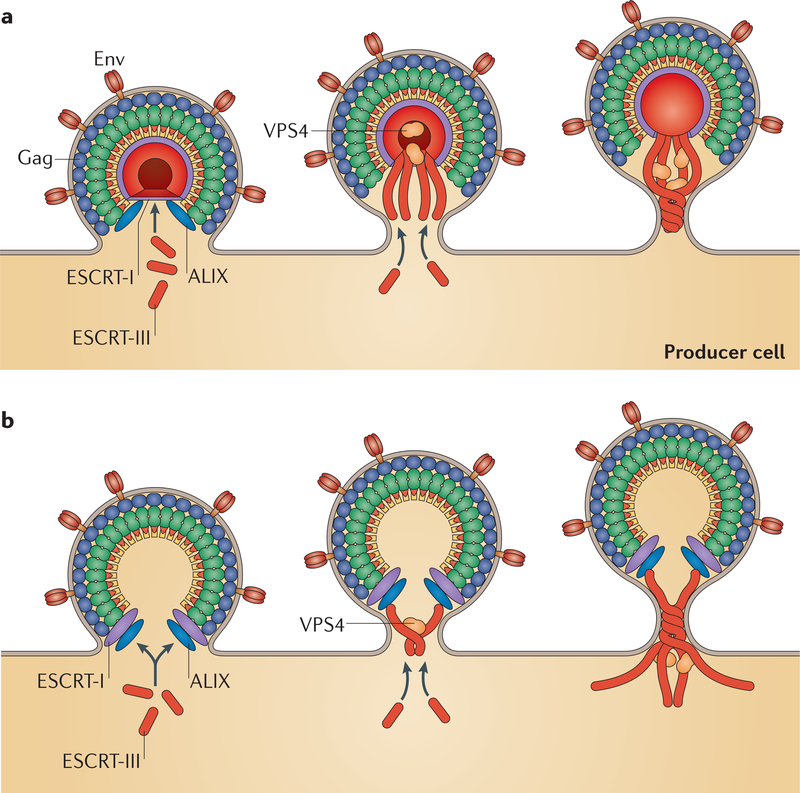 Figure 4 |