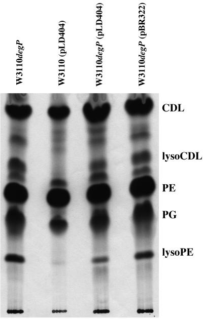 FIG. 6