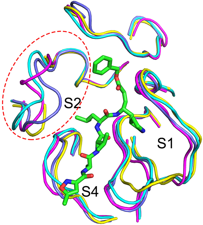 Figure 4