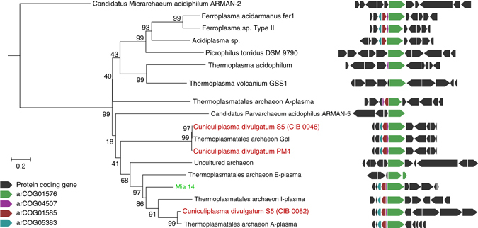 Fig. 6