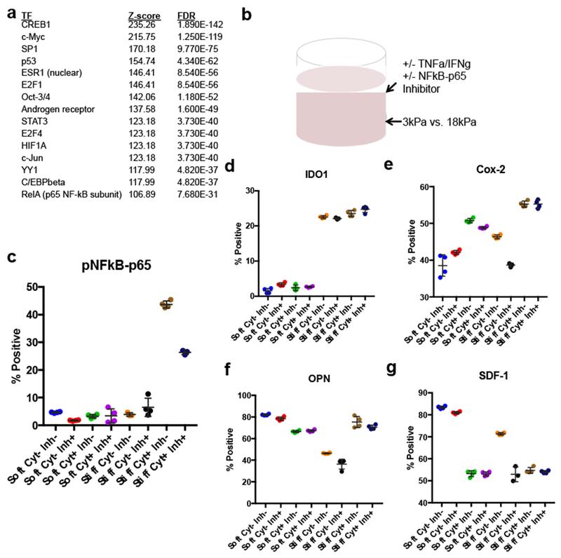 Figure 4: