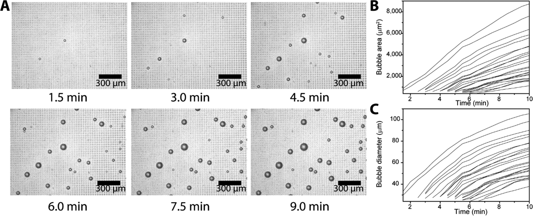 Figure 2.