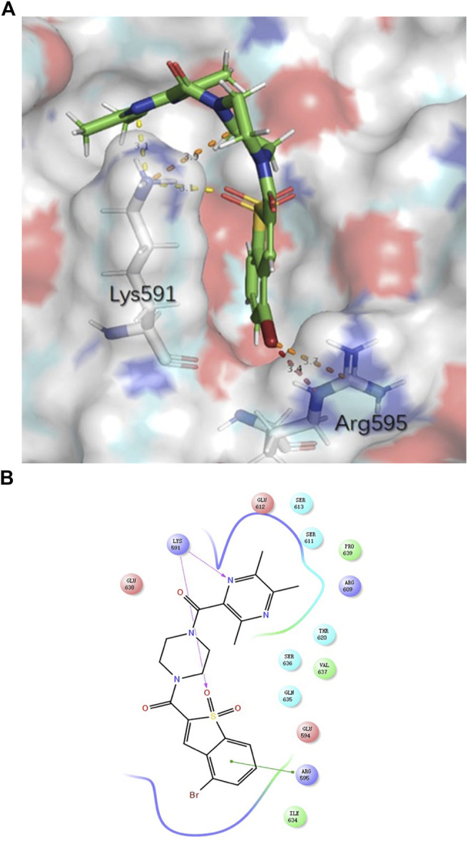 FIGURE 2