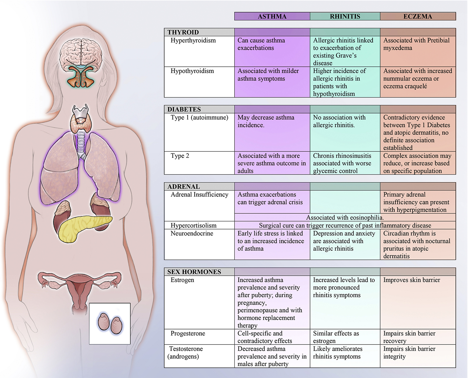 Figure 1: