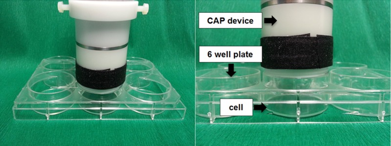 Fig 2