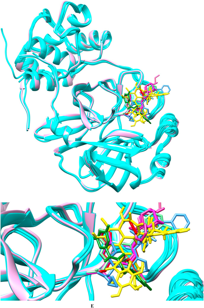 Fig. 1e