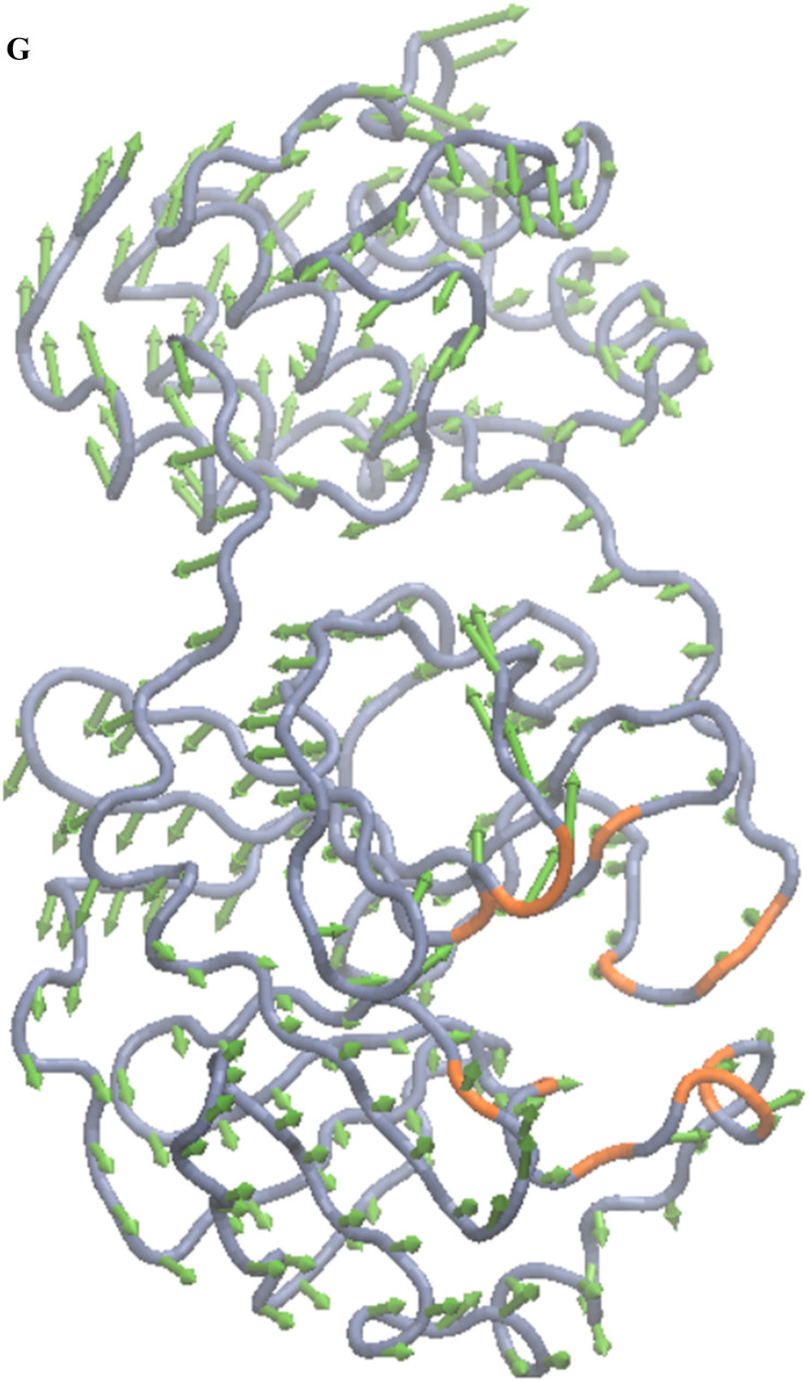 Fig. 2g